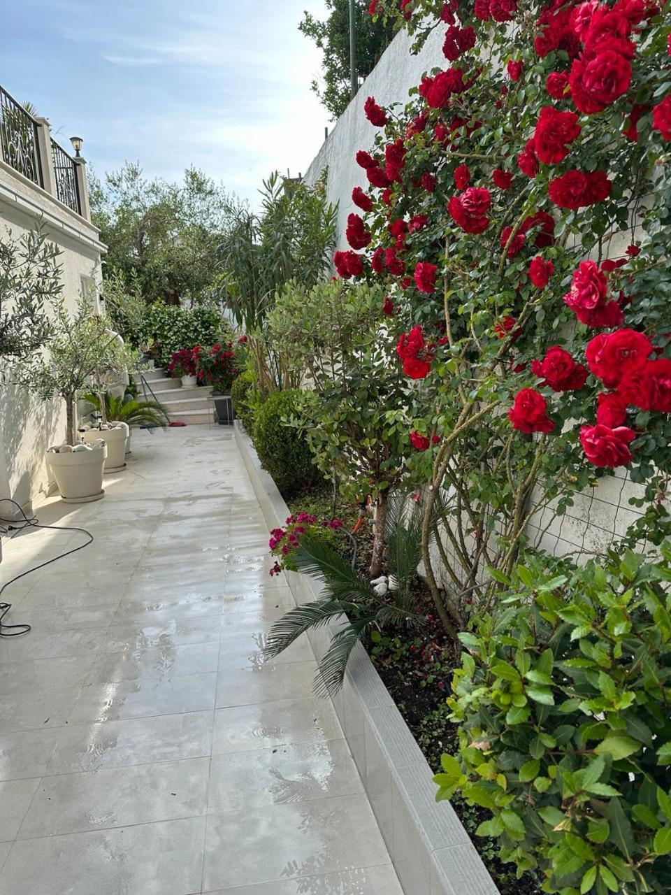 Villabijela21 Ulcinj Bagian luar foto